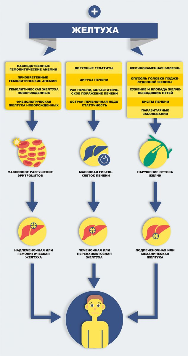 Может ли организм человека. Может ли организм человека
