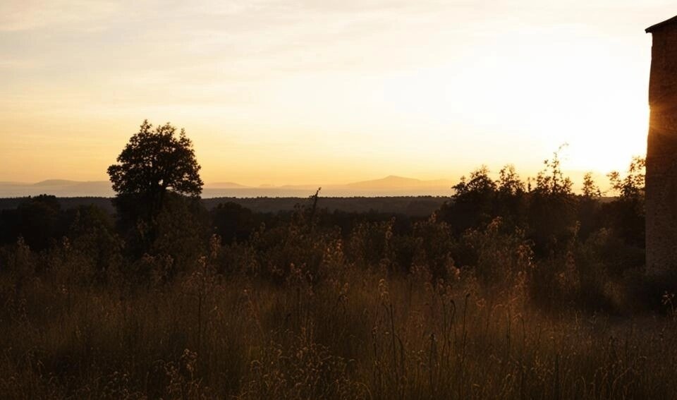 рассвет девушка в солнечных лучах. разбуди мне окном. у окна.
