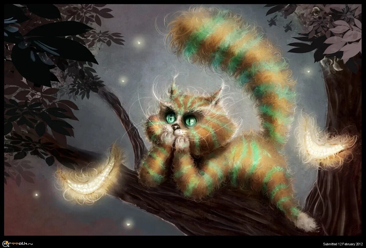 Фото из открытого источника 