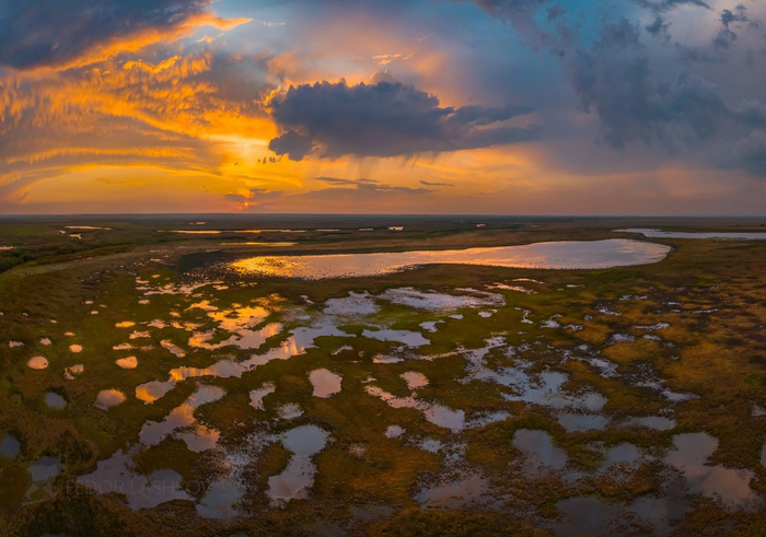 самые крупные болота в мире. пантанал бразилия. пантанал бразилия заповедник. болота пантанал бразилия. васюганские болота заповедник.