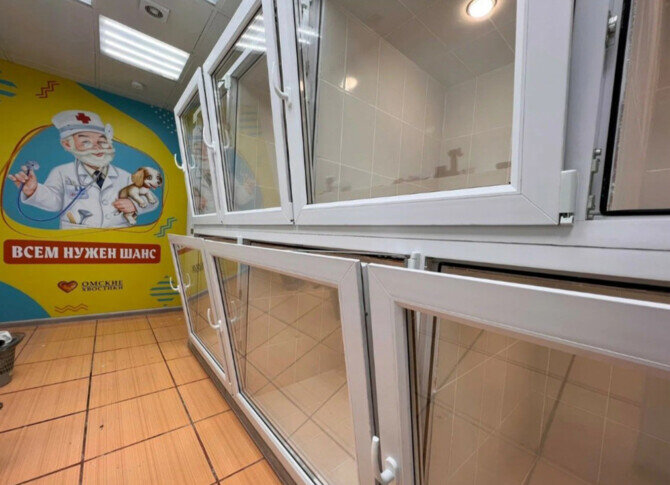 иногда мне везёт и я встречаю людей со своей планеты. цитаты про доброту. я столько пытался. я пытался мем. прежде чем диагностировать у себя депрессию и заниженную.