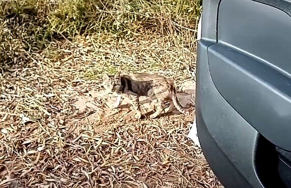 Маха, первое знакомство