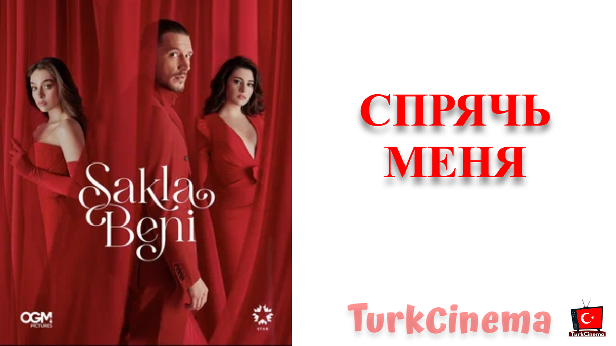 Сериал "Спрячь меня"