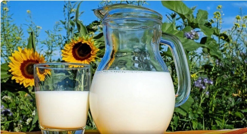 молоко. молоко медицинским работникам. молоко медицинским работникам. лечебно-профилактическое питание на производстве. молоко разлито.