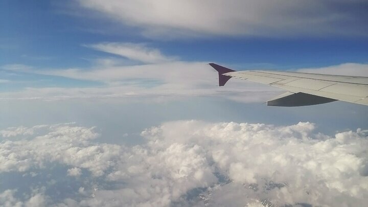 ФОТО: КСЕНИЯ ДУДАРЕВА/ЦАРЬГРАД