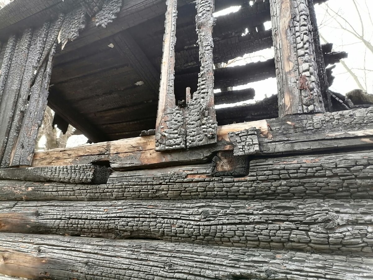 Фото: Ксения Дударева/Царьград