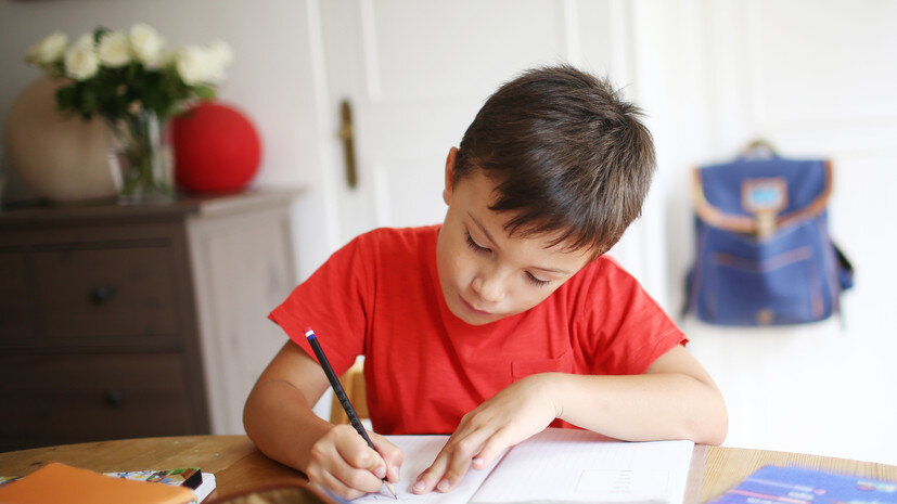 Закон о домашнем задании. Имеют ли право учителя задавать домашнее задание. Закон о домашнем задании. Закон который запрещает задавать домашнее задание на каникулы. Закон о домашнем задании в школе.