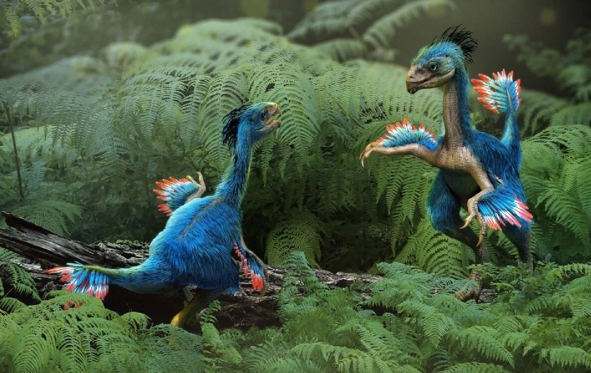 Роблокс квин роблоксерша. Роблокс квин диназ шип. Квин и диназ шип. Диназ роблокс. Roblox queen лицо.