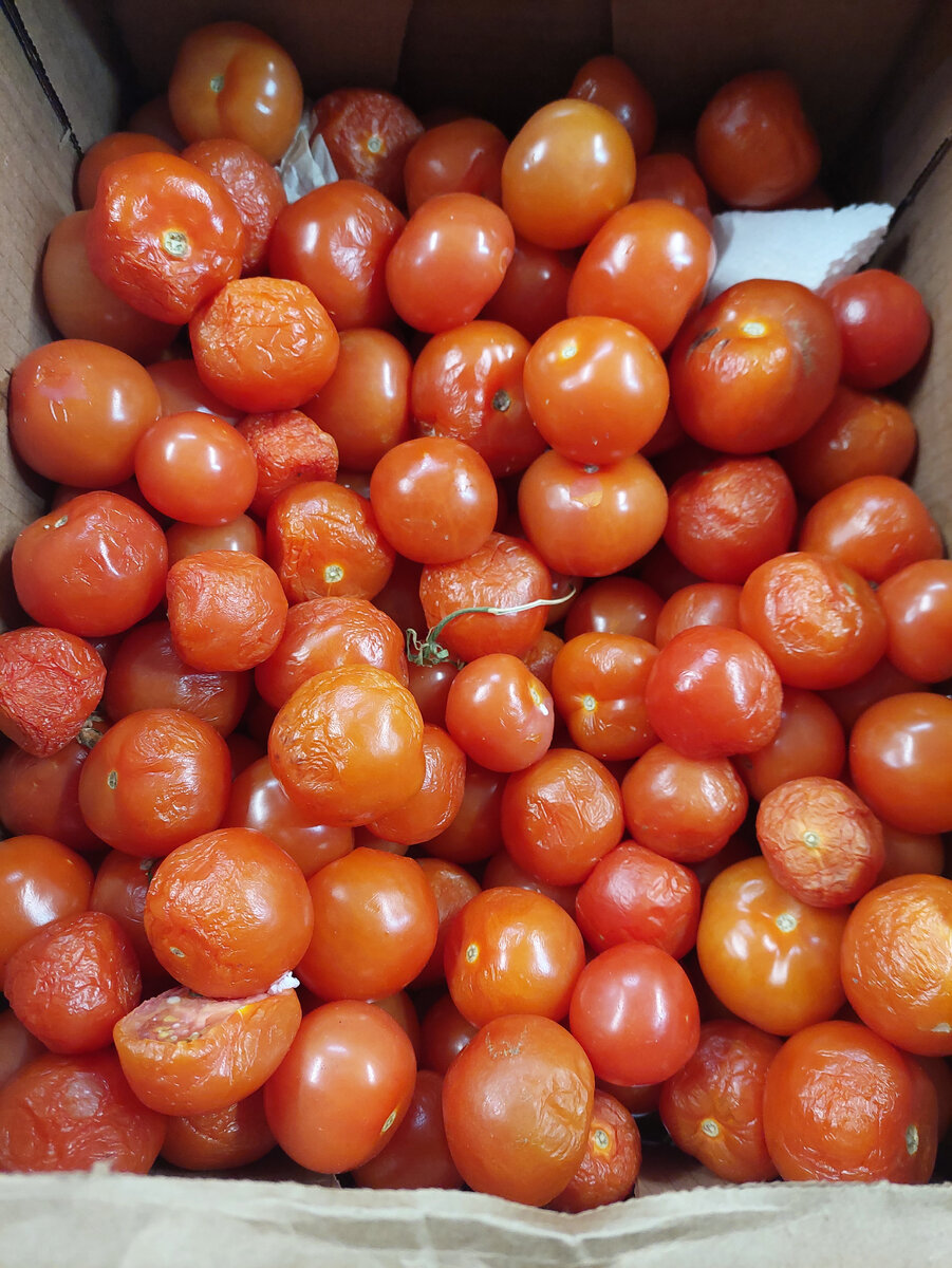 эстет, вязьма, улица 25 октября, 2а. ювелирная мастерская в орле ювелир плюс. ювелирный магазин вязьма. ювелир плюс, орёл. вяземский р-н, вязьма, ул.