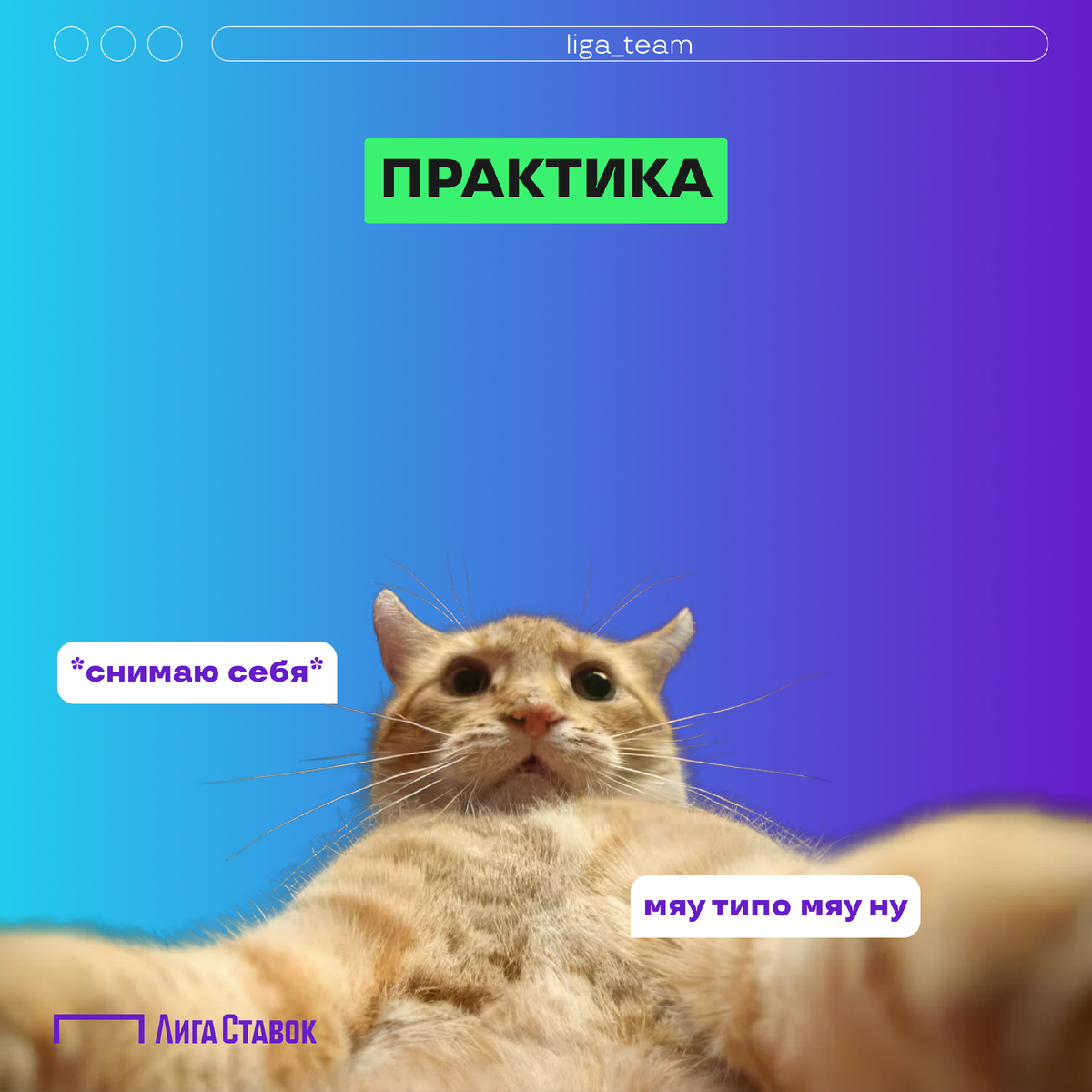 генетическая чистая линия. чистые бахилы. воспользоваться чистый. воспользуйтесь санитайзером табличка. воспользоваться чистый.