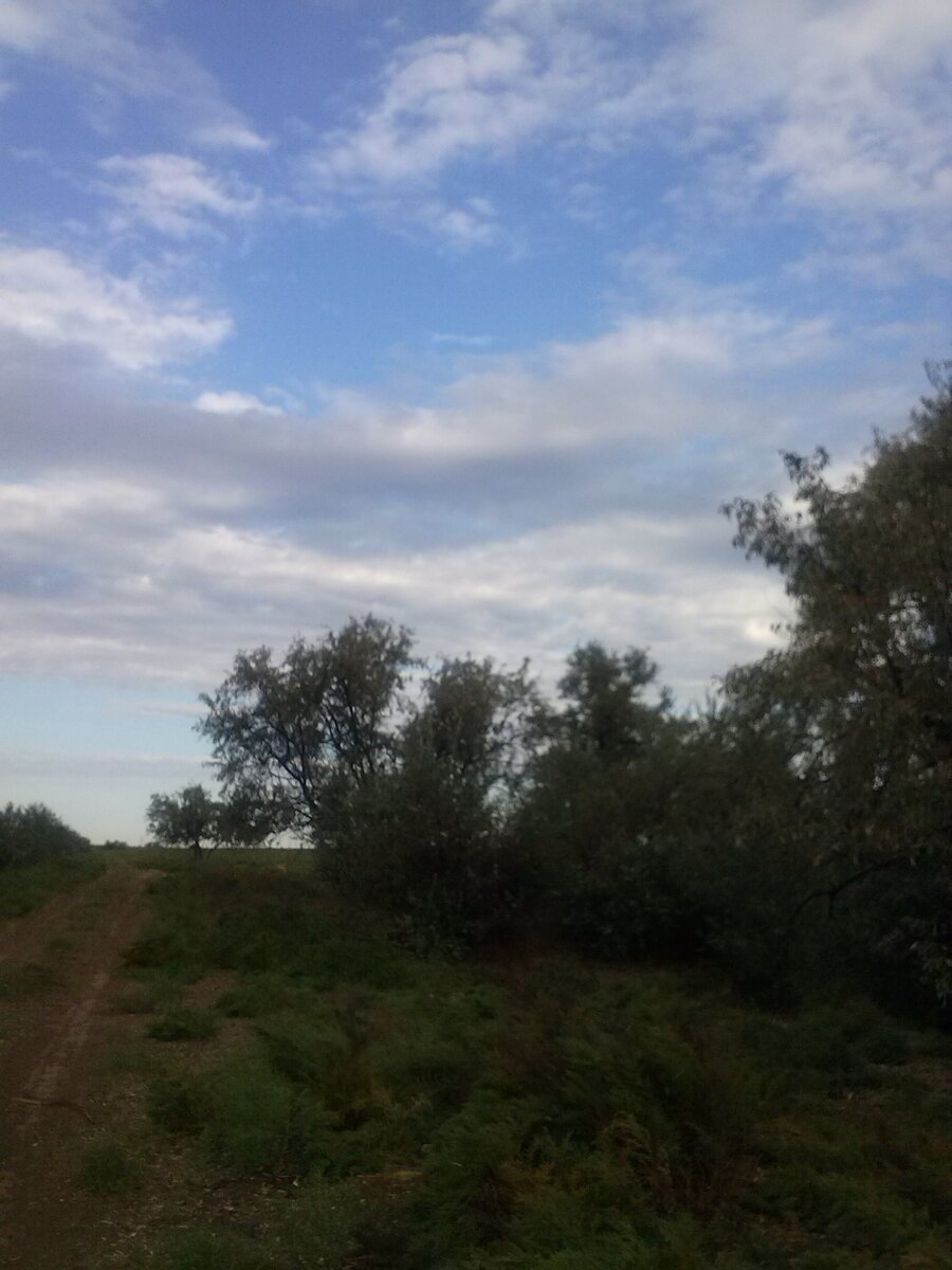 С чего начинается моя малая Родина / Рассказ Анаиды | Дачная ...