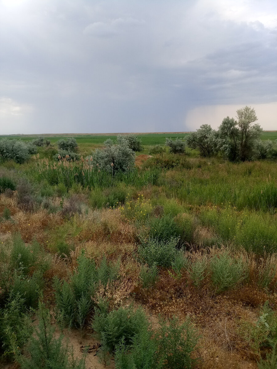 С чего начинается моя малая Родина / Рассказ Анаиды | Дачная ...