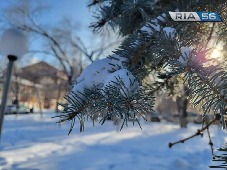    Местами небольшой снег и слабый ветер. Какая погода ждет оренбуржцев в выходные Кристина Просвиркина