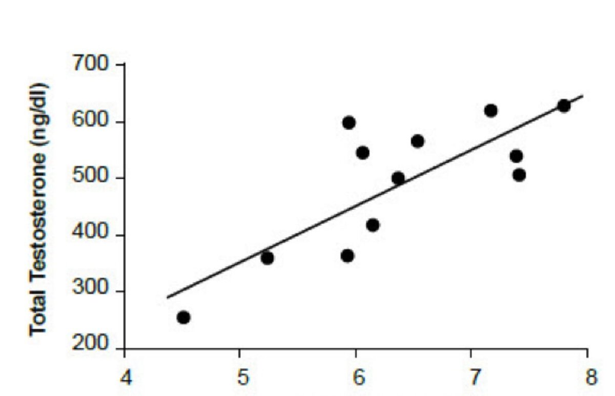 ЖУРНАЛ "JAMMA" 2011 год 