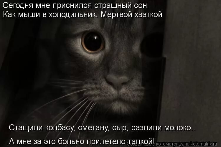 молитва от кошмаров. молитва николаю чудотворцу радуйся. молитва чтобы сон не сбылся православная. если приснился плохой сон. заговор чтоб плохой сон не сбылся.