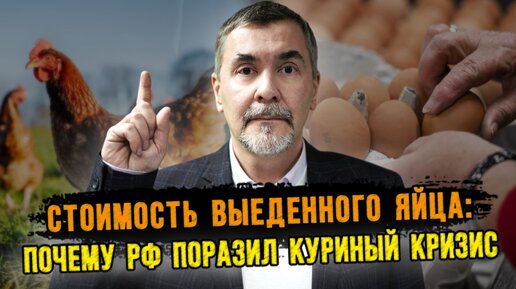 Стоимость выеденного яйца: почему Россию поразил куриный кризис