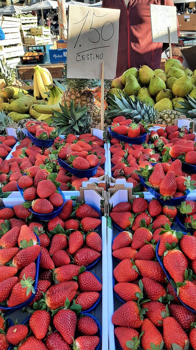 Клубника уже в январе. Фото автора