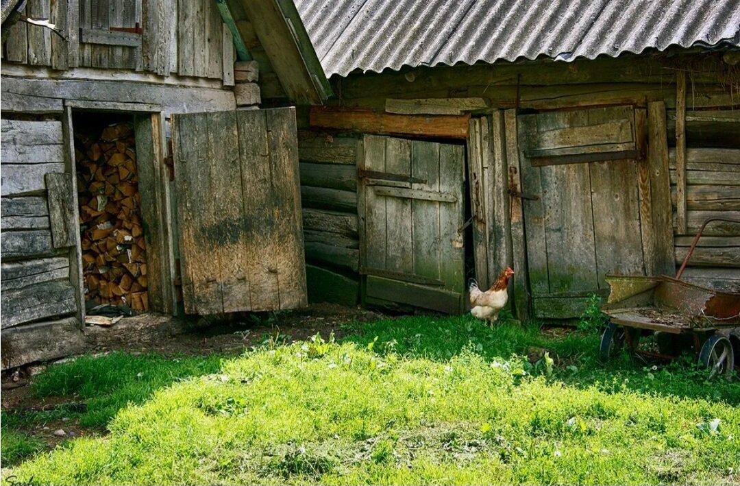 самурайская деревня дзидаймура. японский дом. архитектура древней японии исэ дзингу. японский стиль в интерьере. комната в азиатском стиле.