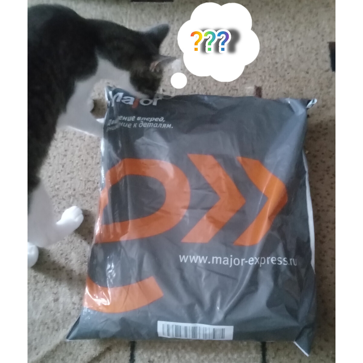 Вот так всё было упаковано. Кот тут как тут😀. 