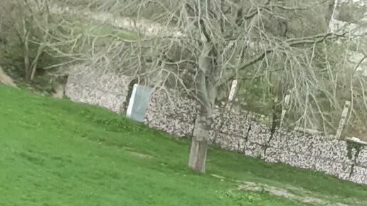 Жена фильм 2017. "ревизор". Недоросль образ фонвизина митрофана. Мексиканская провинциальная жизнь. Аманда крю сумасшедший вид любви фильм 2013.