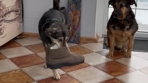 срыгивания у грудничков со слизью. преимущества искусственного вскармливания новорожденного. молоко идет носом. молоко идет носом. молоко идет носом.