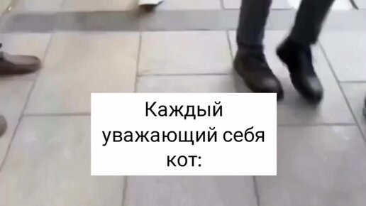 Алешка нович. Алекша нович. Грязь дорожная алекша нович. Alex novich. Alex novich буду твоим.
