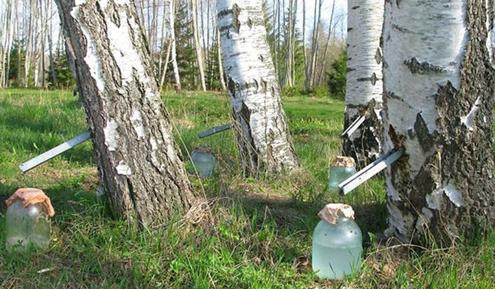 Яндекс-картинка.