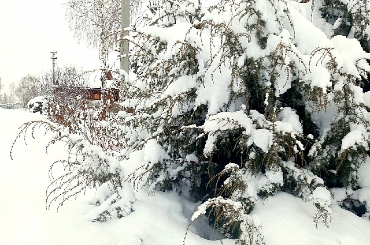    Дорога к дому инвалида завалена снегом и машина не может проехать к пациенту.