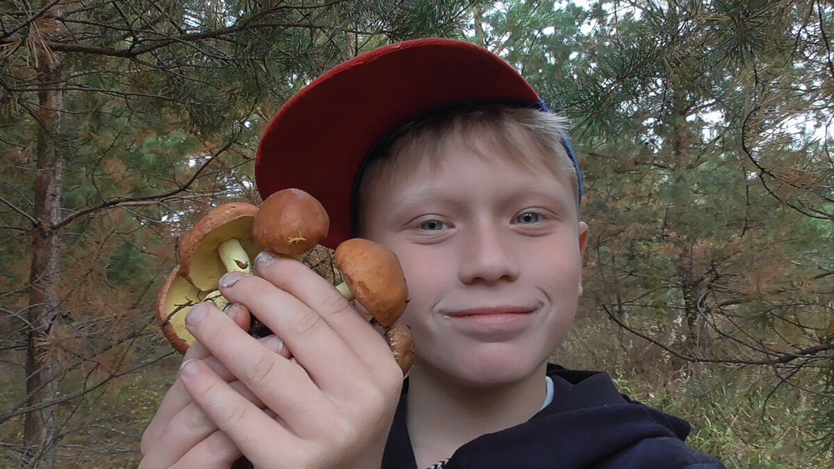 ГРИБЫ СРЕЗАТЬ ИЛИ ВЫКРУЧИВАТЬ? Давайте разберемся! | НОРМАЛЬНЫЙ МУЖИК ...