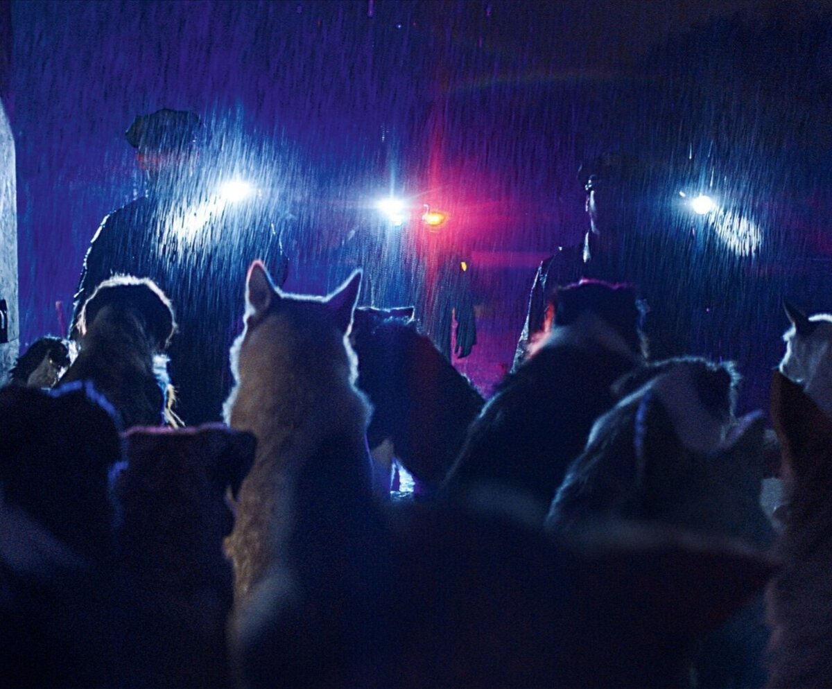 Кадр из фильма "Догмэн".