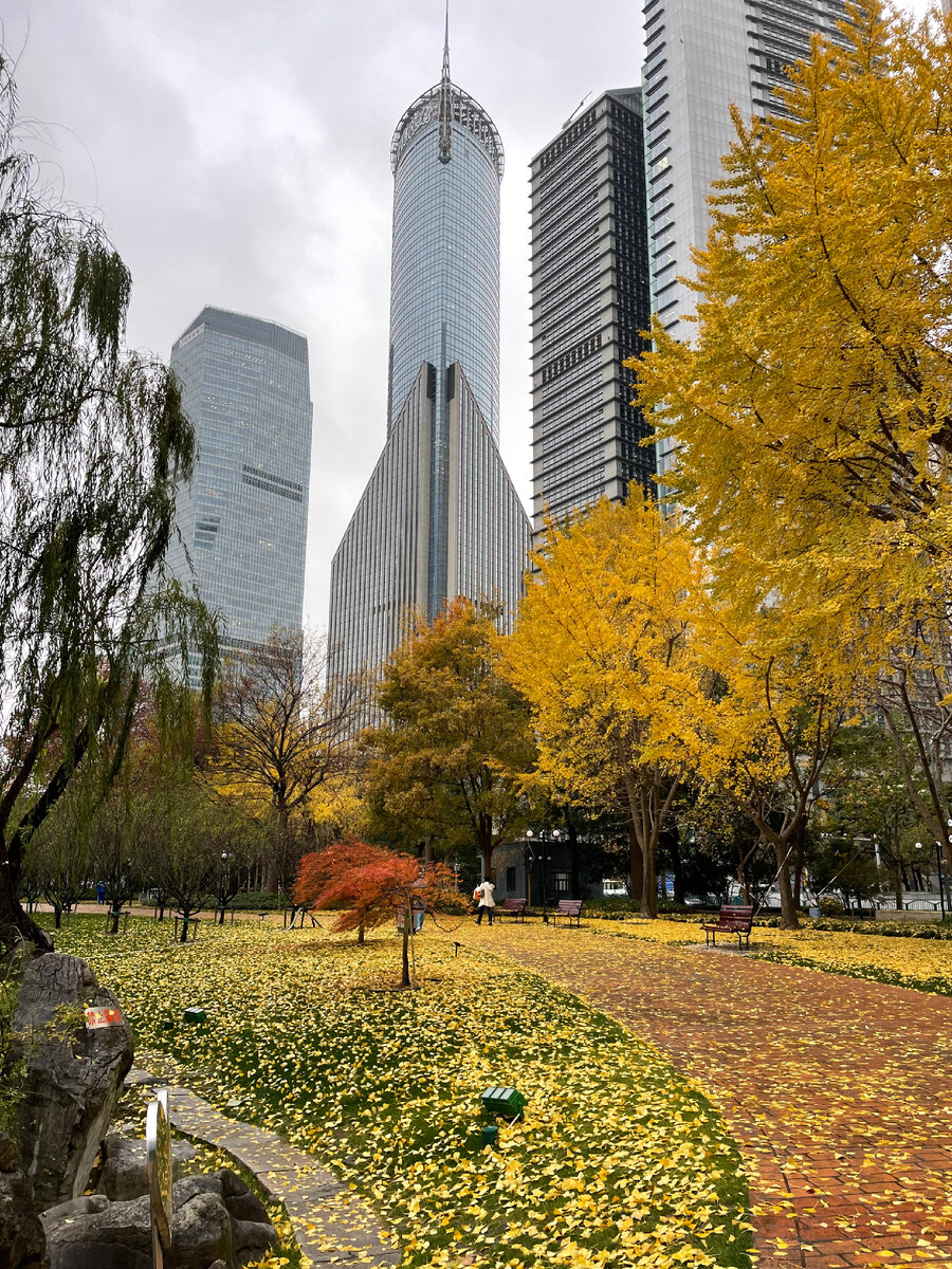Вокзал шанхай. Гуанчжоу народ мужчины. Аэропорт шанхай хунцяо. Карта метро шанхая 2022. Хунцяо город.