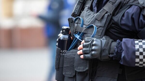    © Sputnik / Rodion Proca