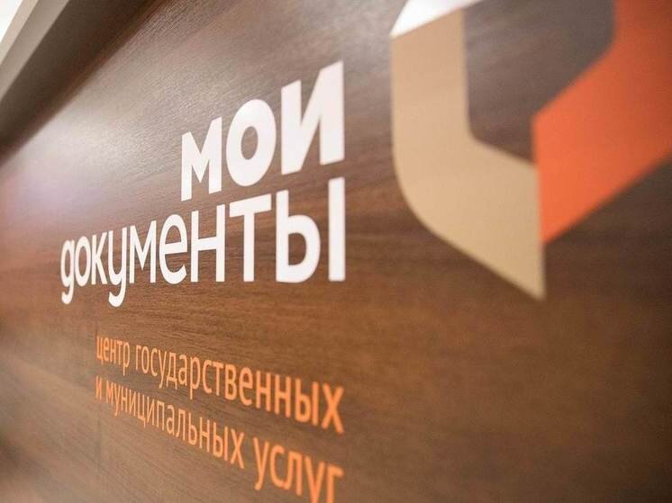 мфц логотип. преимущества получения госуслуг в электронном виде. мфц социальная помощь. мфц презентация. услуги мфц.
