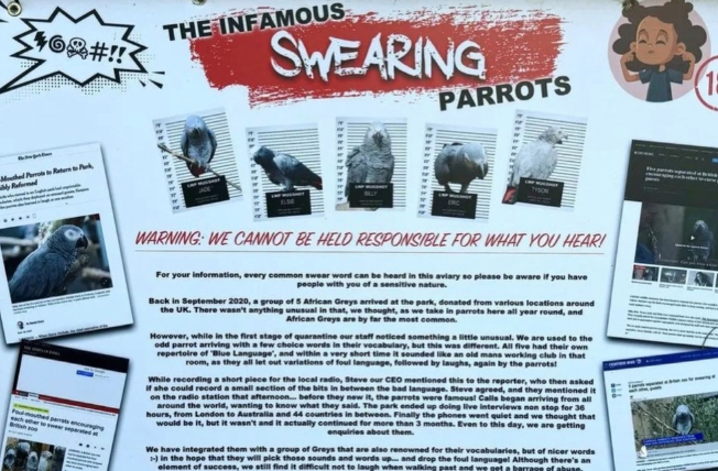     Предупреждение о ругающихся попугаях