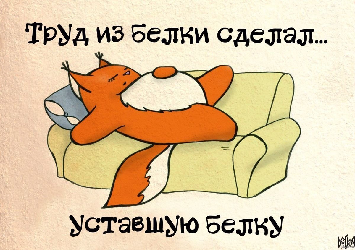 Яндекс картинки