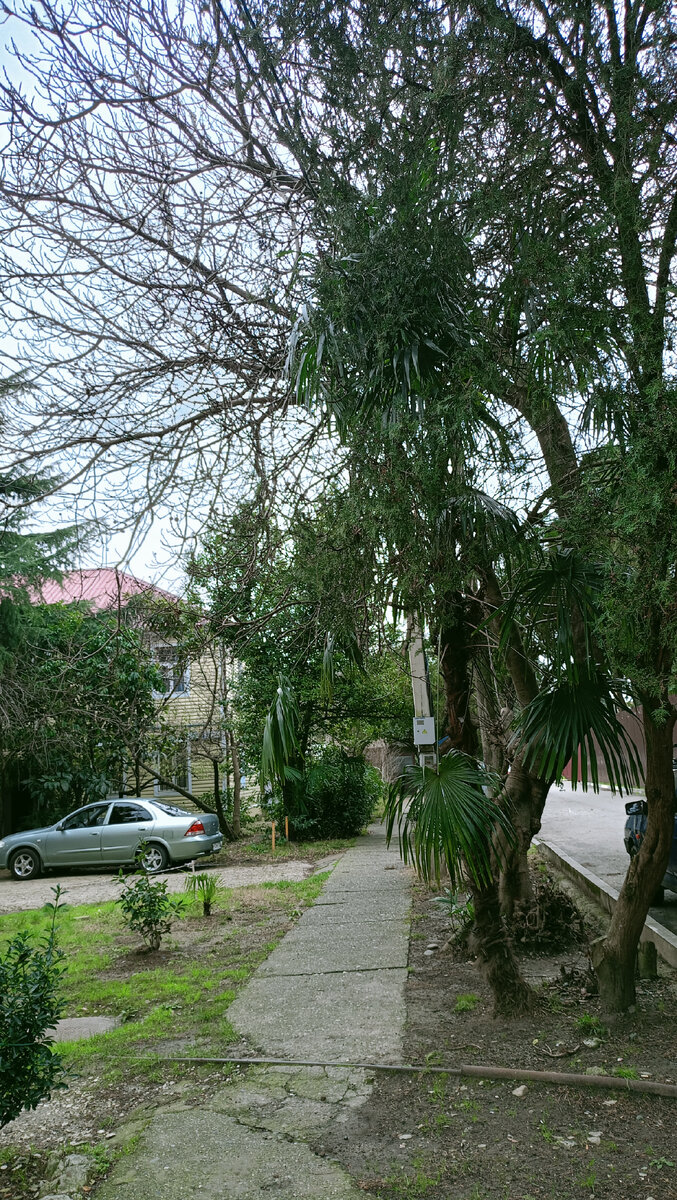 д учет что это такое