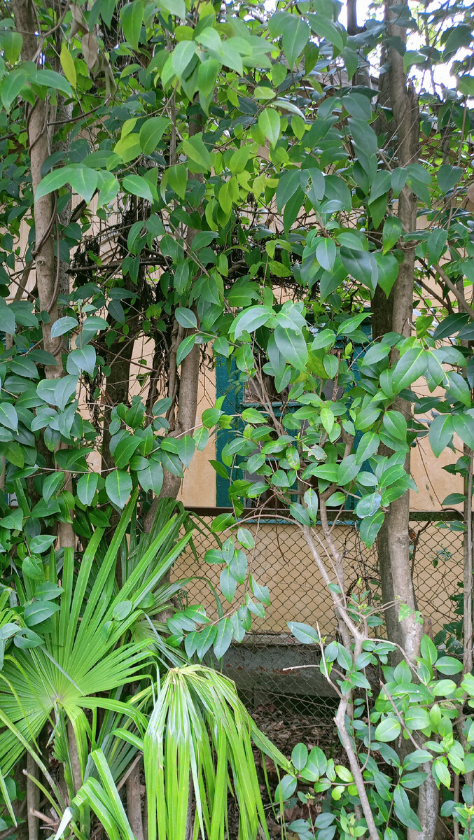 цитаты девушка ушла. стихи о уходящей любви. знаю что любит но ушел. расставание с любимым человеком. иногда лучше уйти.