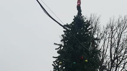 Ёлка город обмана переиздание 2007. Ёлка город обмана переиздание 2007. Песня ёлка в рождество. Город обмана. Слова песни елка в рождество.