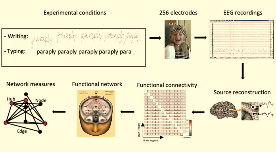   Audrey van der Meer / Frontiers in Psychology, 2024