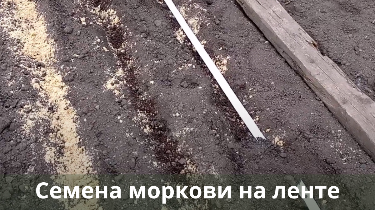 на что в первую очередь обращают внимание. советы по выбору страховщика. обращать внимание или внимания. актуальность темы права ребенка. на что обратить внимание новичкам.