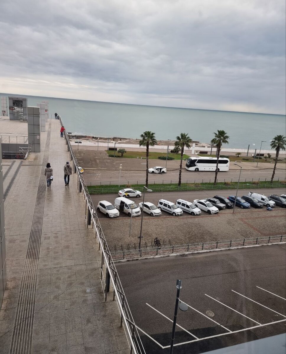 Суровая адлеровская зима.