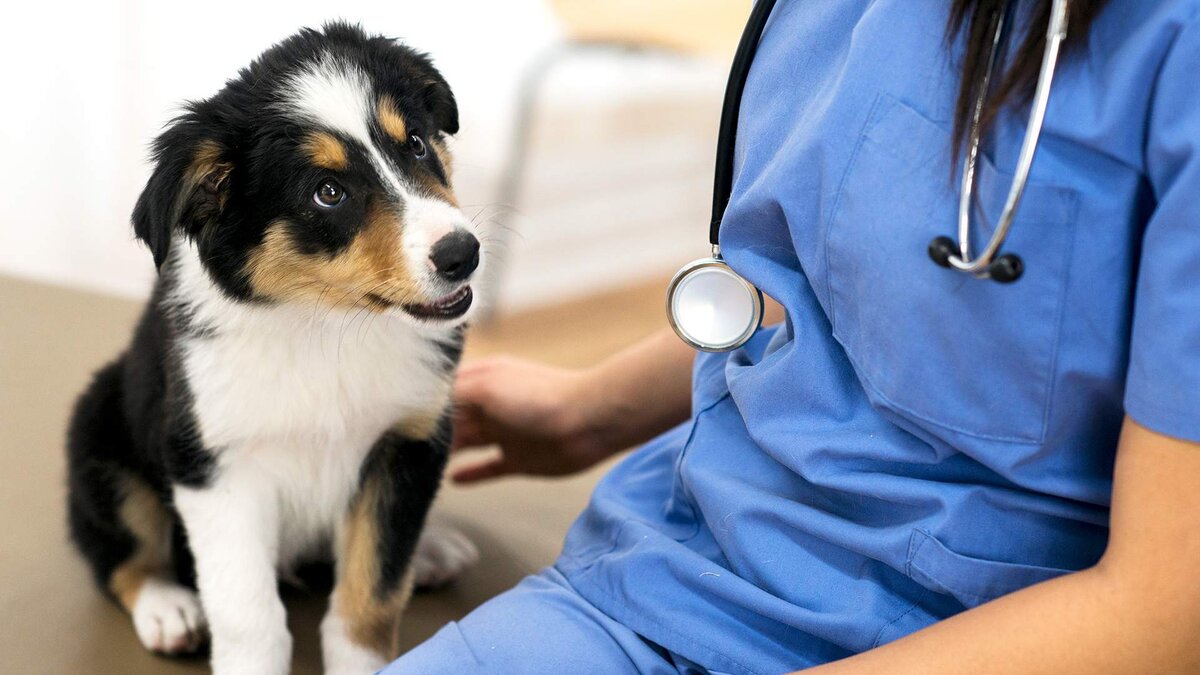 Фото: Getty Images/FatCamera