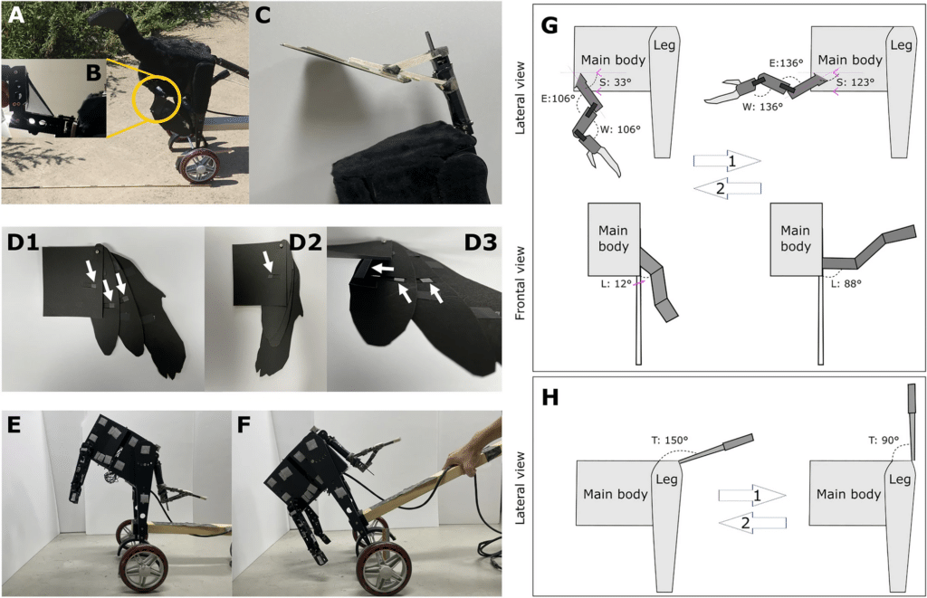    Описание движений робота.  Металлический корпус его был покрыт черным войлоком. Голова сделана из черного полистирола / © www.nature.com