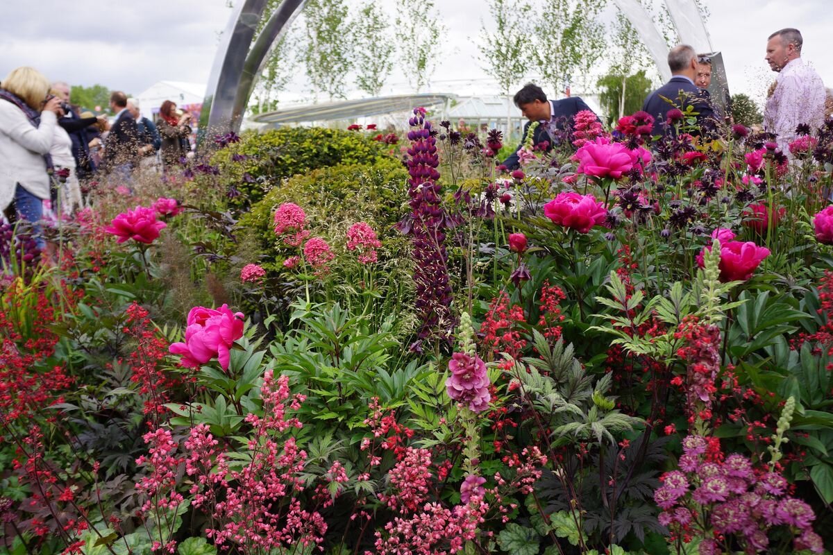 с чем сочетаются пионы. ранункулюс букет невесты. букет свадебный из пионов корал шарм. миксбордер с пионами. букет невесты с пионами.