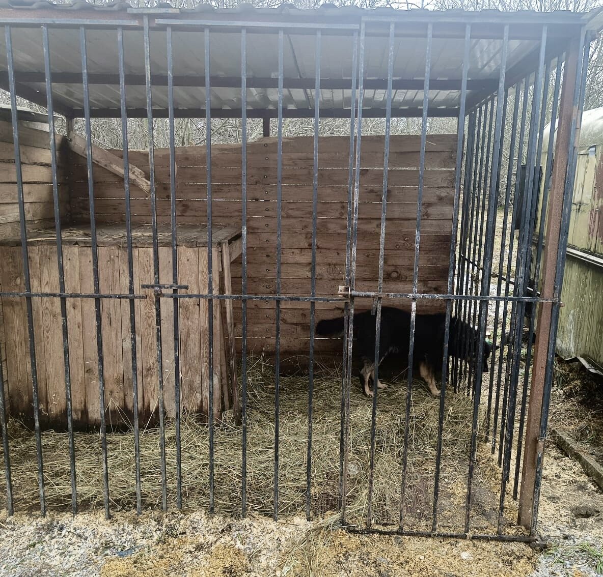 Это - лишь малая часть разрушающихся вольеров!