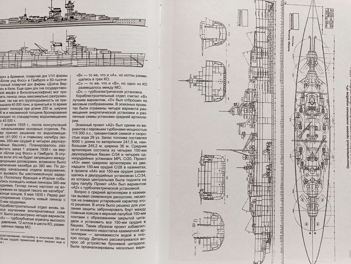Друзья броненосец. Шаровой трехпоясный броненосец. Друзья броненосец. Трехпоясный броненосец животное. Броненосец ареал.