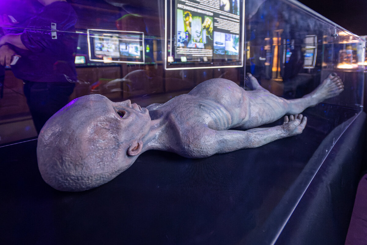 Komsomolskaya Pravda/Global Look Press 