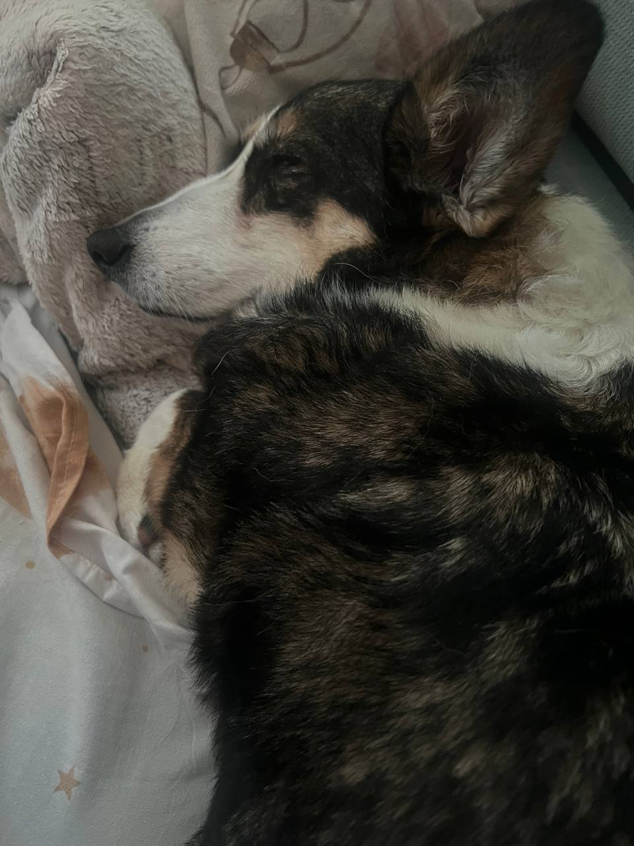 Мамуль, смотри, как я сплю)