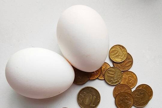    Росстат сообщил о росте производства яиц в России