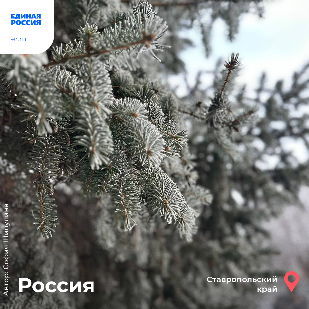 Как отправить подарок в другую страну. Как отправить подарок в другую страну